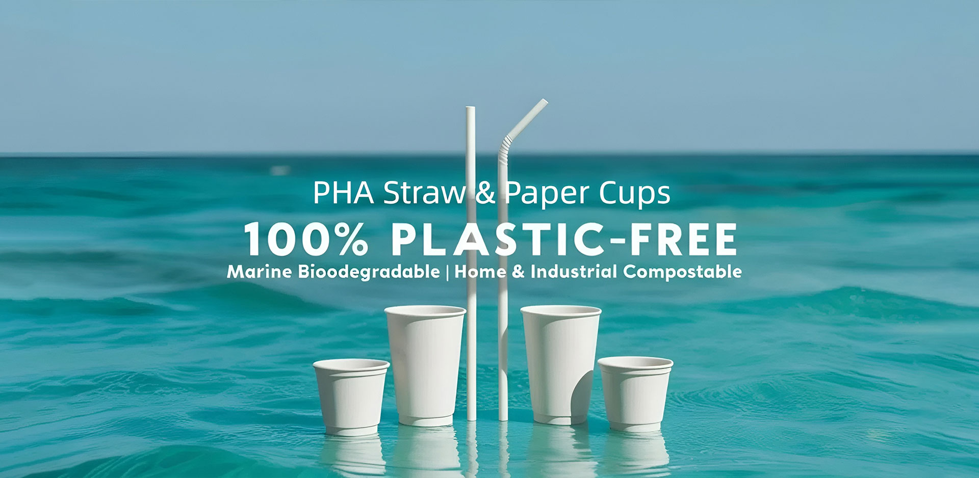 ซัพพลายเออร์ China Paper Cup